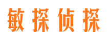 洛隆市调查公司